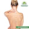 PHYSIOLOGA® Komfort Mattress – personalised by body customisation.. - Image 2