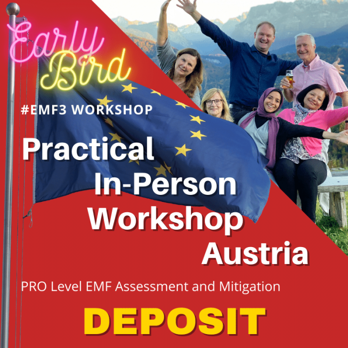 EMF3 EMF Radiation Assessment workshop in Austria with GEOVITAL