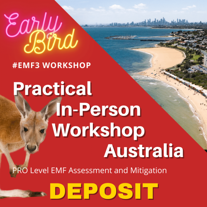 EMF3 In-Person Practical Workshop - Melbourne, Australia 2025, June 18-20